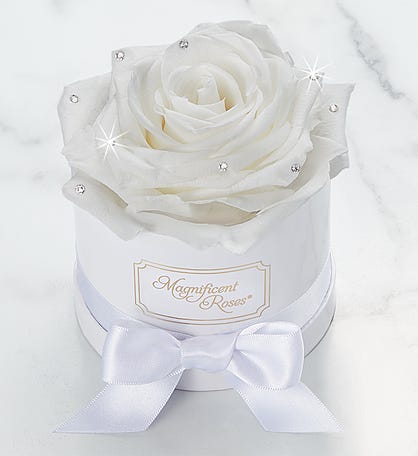Magnificent Roses® Preserved Sparkle White Rose